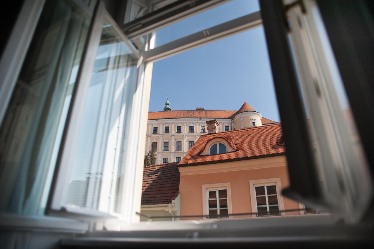Penzion Husa Mikulov Bagian luar foto